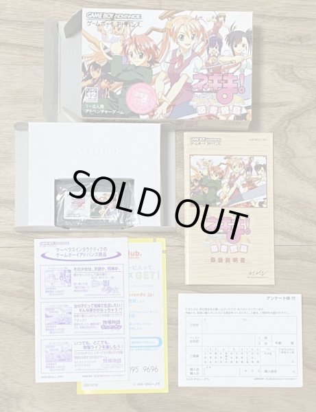 Photo5: Negima! Magister Negi Magi Private Lesson (魔法先生ネギま!プライベートレッスンだめです) [Boxed] (5)