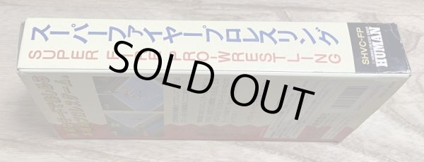 Photo5: Super Fire Pro Wrestling (スーパーファイヤープロレスリング) [Boxed] (5)