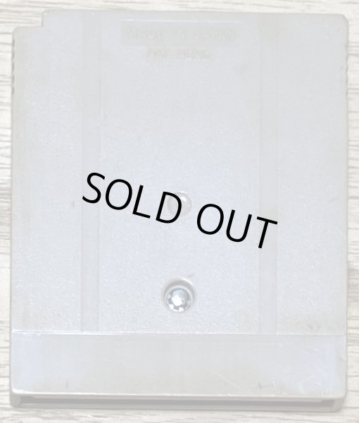 Photo2: Teenage Mutant Ninja Turtles (ティーンエイジミュータントニンジャタートルズ) (2)