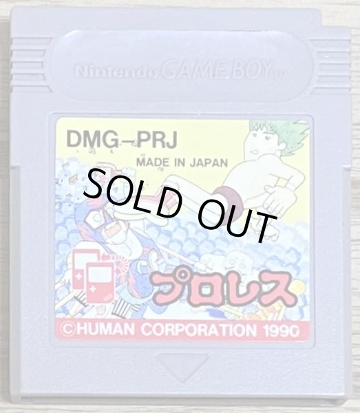 Photo1: HAL Wrestling / Pro Wrestling (プロレス) (1)