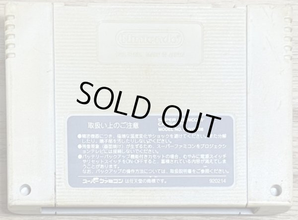 Photo2: WWF Royal Rumble (WWFロイヤルランブル) (2)