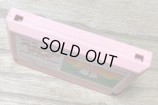 Photo3: Binary Land (バイナリィランド) (3)