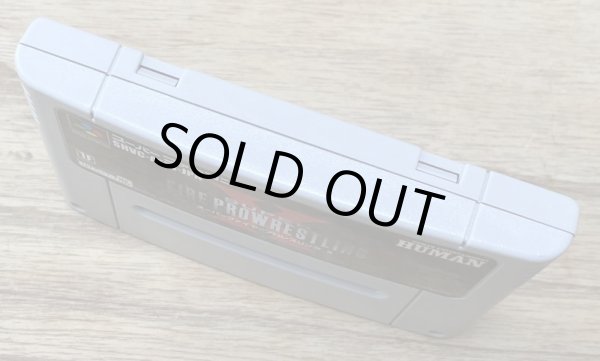 Photo3: Super Fire Pro Wrestling X (スーパーファイヤープロレスリングX) (3)