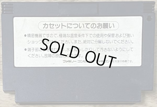 Photo2: Wai Wai World 2: SOS!! Parsley Jō (ワイワイワールド2 SOS!!パセリ城) (2)
