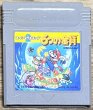 Photo1: Super Mario Land 2: 6 Golden Coins (スーパーマリオランド2 6つの金貨) (1)