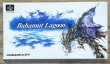 Photo1: Bahamut Lagoon (バハムート ラグーン) [Boxed] (1)