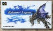 Photo1: Bahamut Lagoon (バハムート ラグーン) [Boxed] (1)