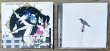 Photo3: Asian Kung-Fu Generation - Sol-fa (ソルファ) w/ slipcase (3)