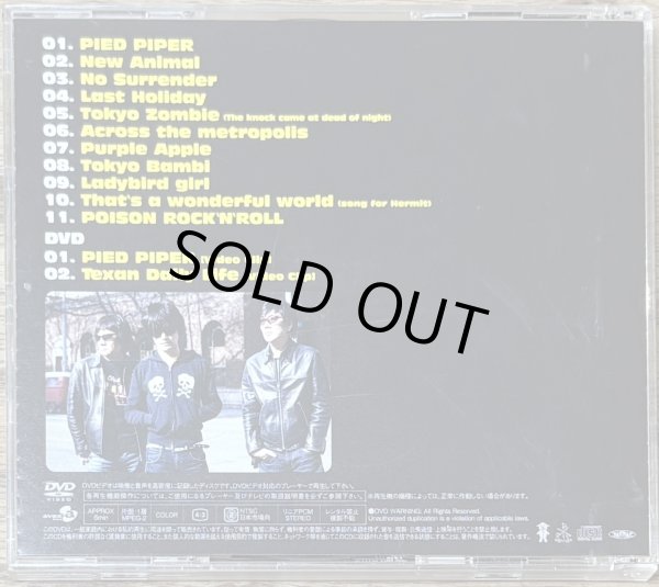 Photo2: The Pillows - PIED PIPER (CD + DVD) (2)