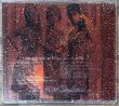 Photo2: Ayumi Hamasaki - Ayu-mi-x II Version JPN (2)