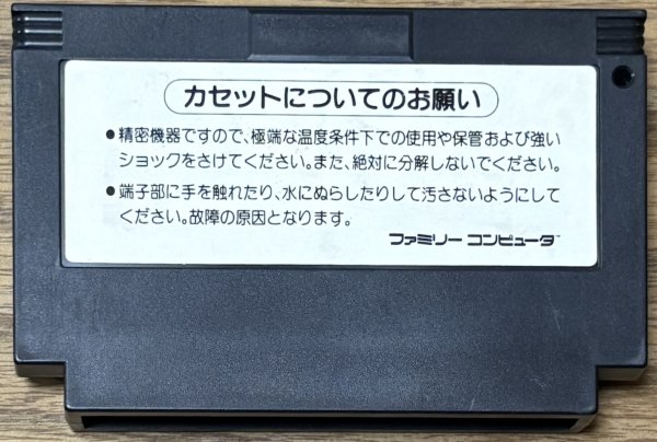 Photo2: Goonies 2 (グーニーズ2 フラッテリー最後の挑戦) (2)