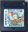 Photo1: The Legend of Zelda: Link's Awakening DX (ゼルダの伝説 夢をみる島DX) (1)