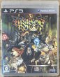 Photo1: Dragon's Crown (ドラゴンズクラウン) [Full English version on Disc] (1)