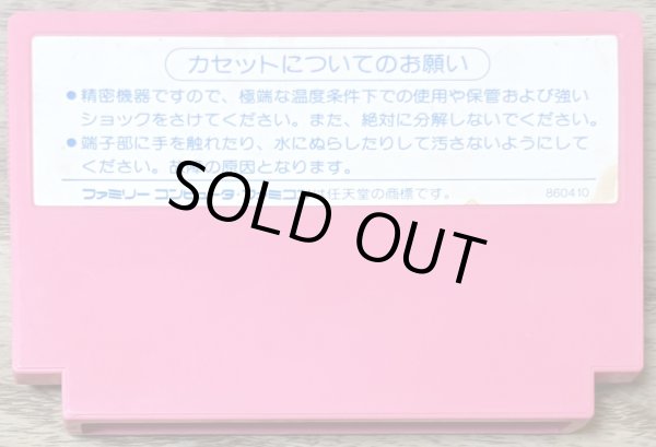 Photo2: Takahashi Meijin no Bug-tte Honey (高橋名人のBugってハニー) (2)