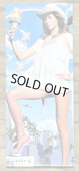 Photo2: hitomi - Traveler (CD+DVD 1st print edition) (2)