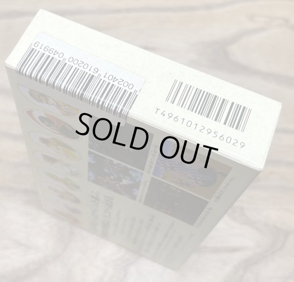 Photo4: Romancing SaGa 3 (ロマンシング サ・ガ3) [Boxed] (4)