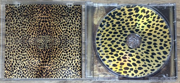 Photo3: Ayumi Hamasaki - Duty (3)