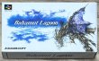 Photo1: Bahamut Lagoon (バハムート ラグーン) [Boxed] (1)