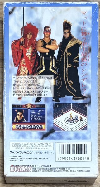 Photo2: Fire Pro Women: All Star Dream Slam (ファイプロ女子　オールスタードリームスラム) [Bozed] (2)