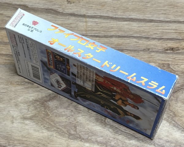 Photo3: Fire Pro Women: All Star Dream Slam (ファイプロ女子　オールスタードリームスラム) [Bozed] (3)