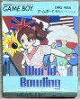 Photo1: World Bowling (ワールドボウリング ) [Boxed] [Bad condition] (1)