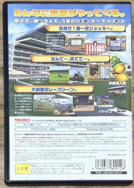 Photo2: Gallop Racer 6 -Revolution- (ギャロップレーサー6 -Revolution-) (2)