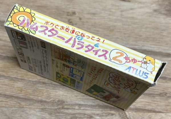 Photo3: Hamster Paradise 2 (ハムスターパラダイス2) [Boxed] (3)