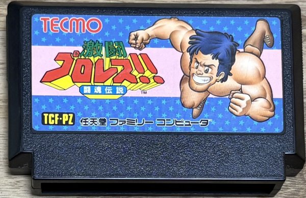 Photo1: Gekitou Pro Wrestling (激闘プロレス!!闘魂伝説) (1)