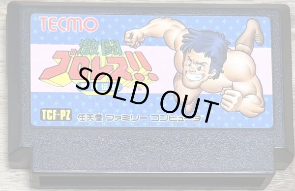 Photo1: Gekitou Pro Wrestling (激闘プロレス!!闘魂伝説) (1)