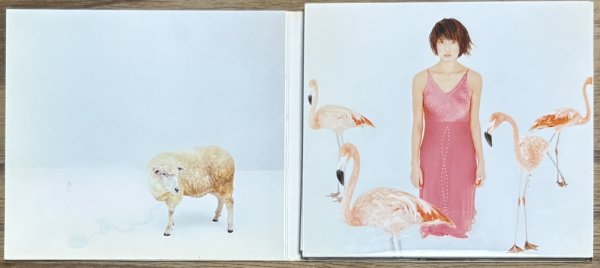 Photo2: hitomi h (Best Collection) [1st print version] (2)