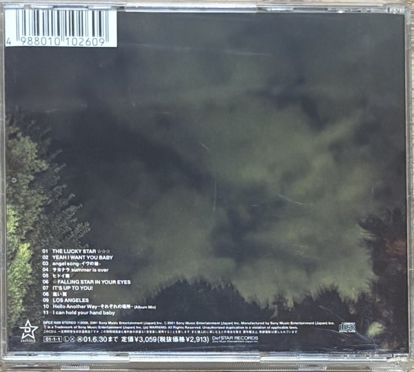 Photo2: the brilliant green - Los Angeles (2)