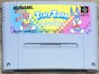 Photo1: Tiny Toon Adventures: Buster Busts Loose! / Tiny Toon Adventures (タイニートゥーンアドベンチャーズSFC) (1)