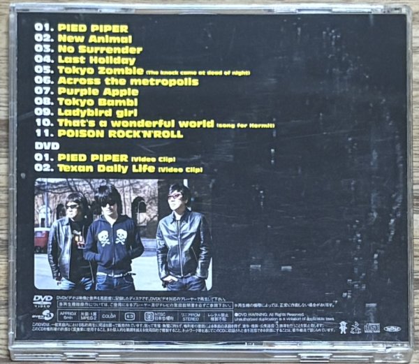 Photo2: The Pillows - PIED PIPER (CD + DVD) (2)