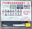 Photo2: Pro Mahjong Kiwame S (プロ麻雀極Ｓ) (2)