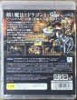Photo2: Dragon's Crown (ドラゴンズクラウン) [Full English version on Disc] (2)