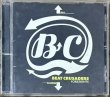 Photo1: Beat Crusaders - FORESIGHTS (1)